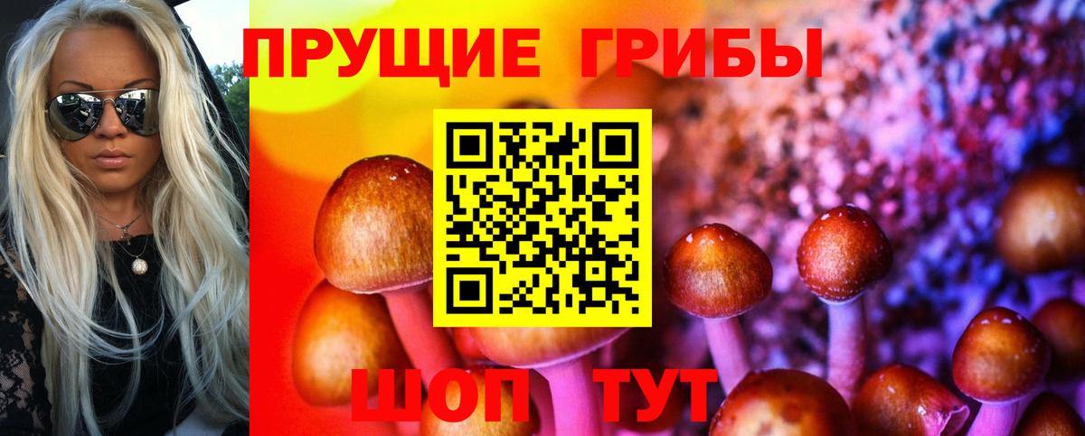 Галлюциногенные грибы ЛСД Ессентуки